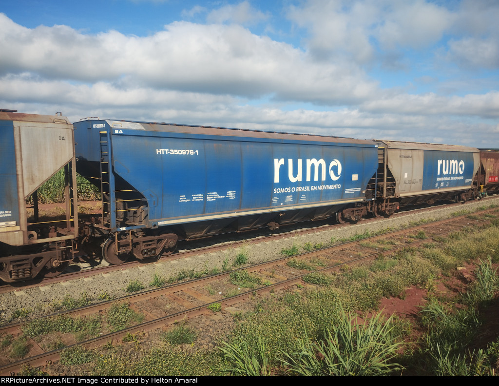 RUMO HTT-350976-1